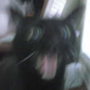 Meet your Posher, Joe